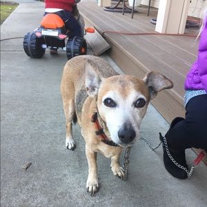 Meet your Posher, Kelly